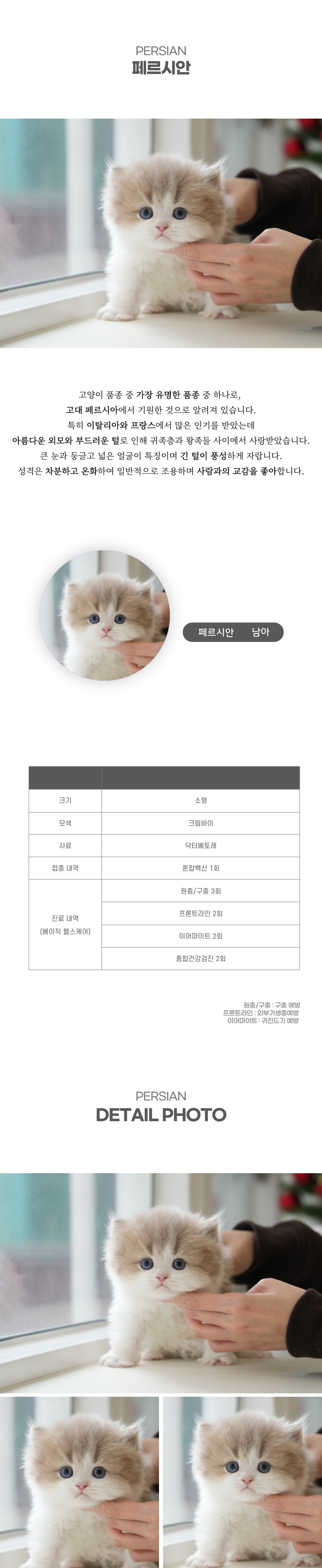 페르시안_상세이미지_2